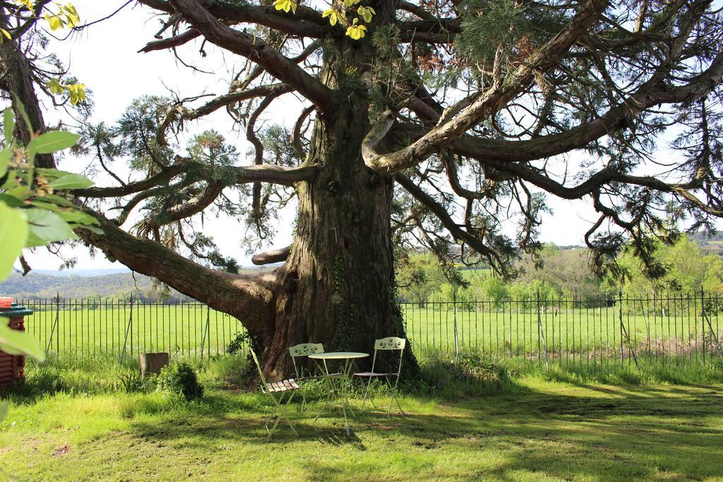 Chateau De Villeneuve - Montolieu Bagian luar foto